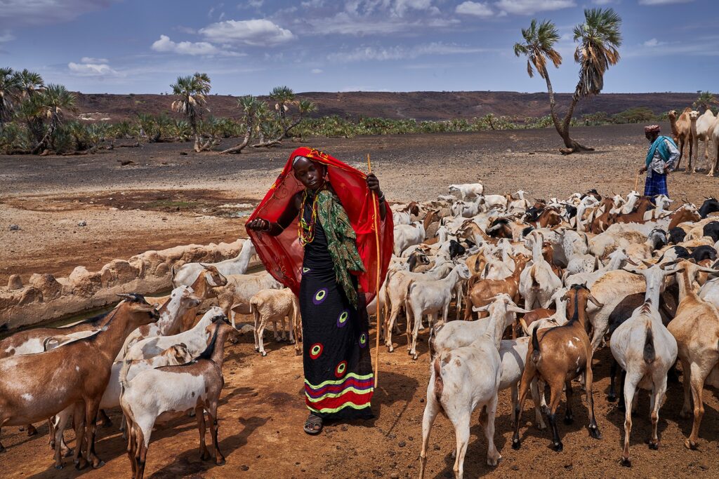 تجهیزات عکاسی