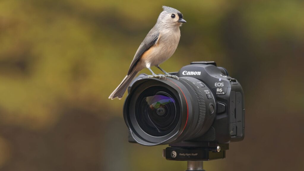 سیستم کنترل از راه دور چند دوربین EOS R5 Mark II