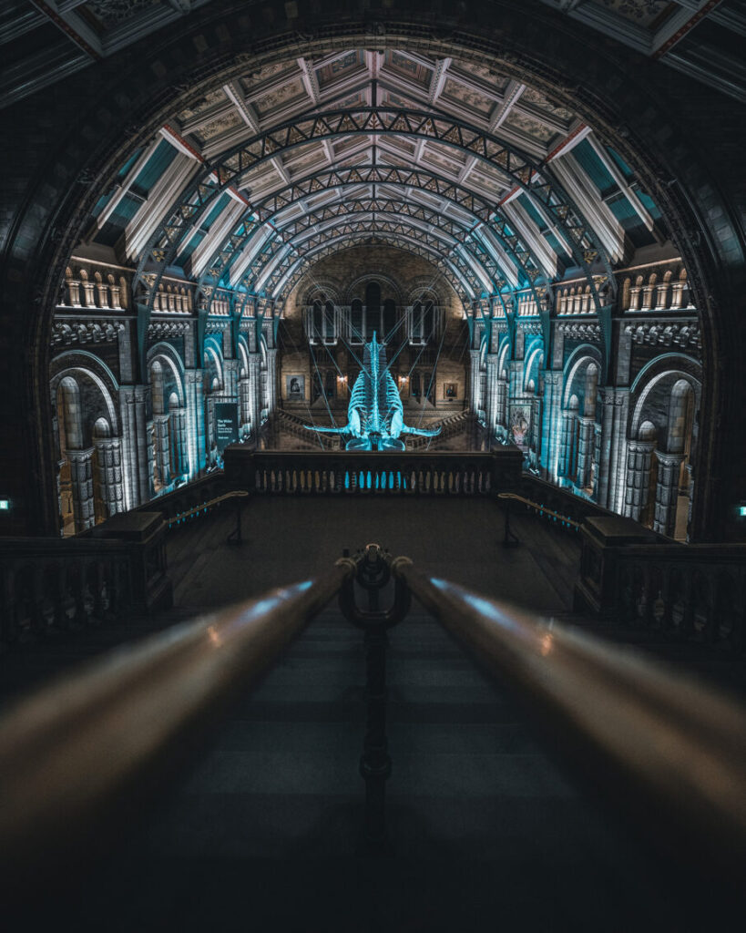 فوکوس در تاریکی یا تنظیم دقیق نوردهی